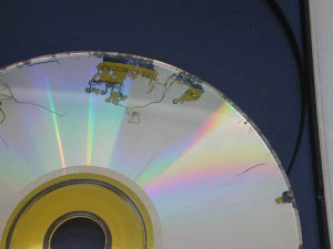 DVD afectat per un geotrichum